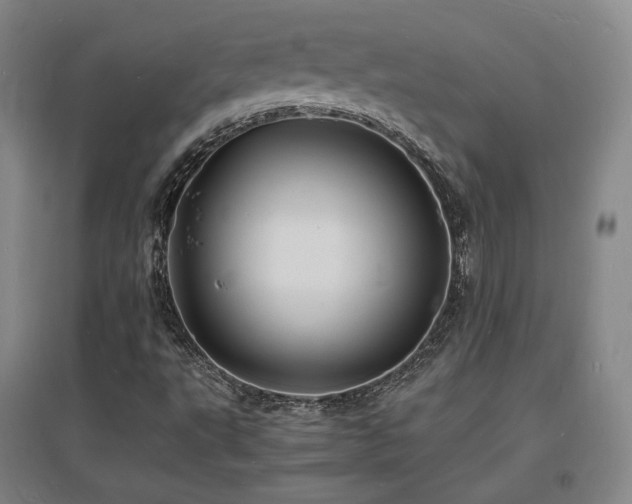 X0000097621495200802291313