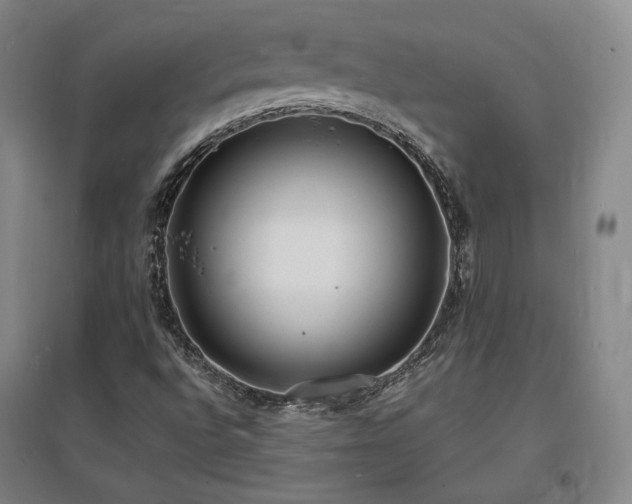 X0000097621496200802291313