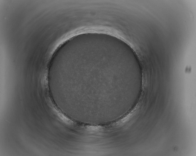 X0000097621498200802291313