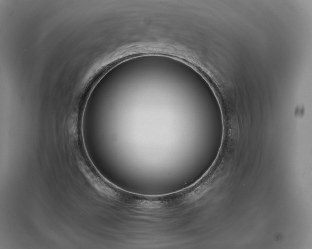 X0000097621499200802291313