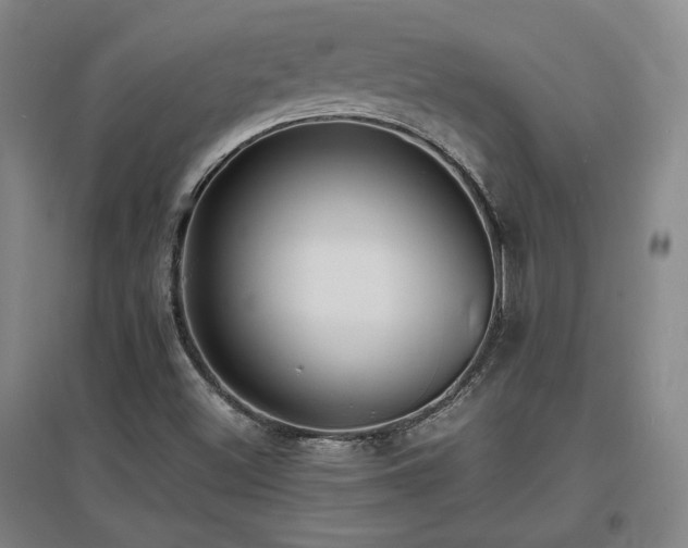 X0000097621500200802291313