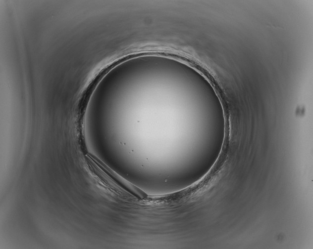 X0000097621501200802291313