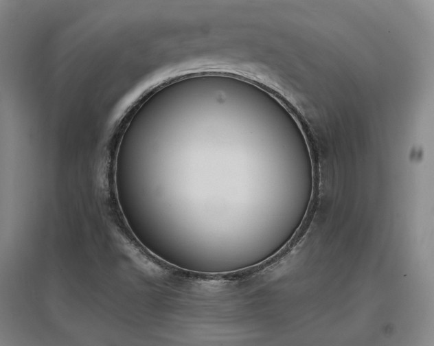 X0000097621502200802291313