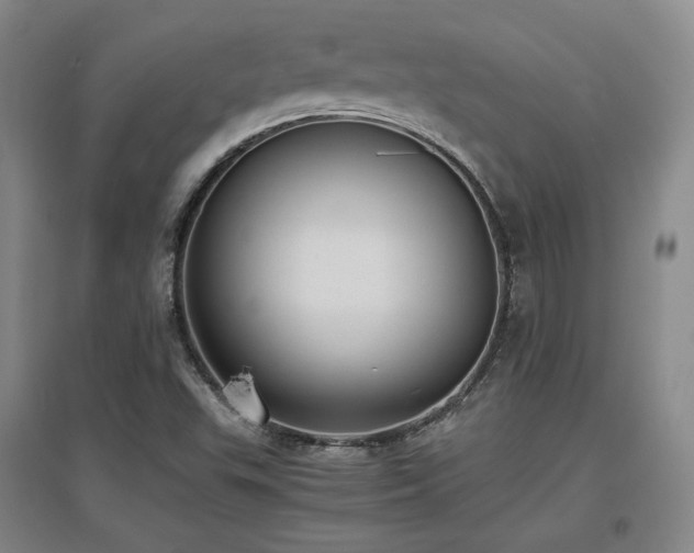 X0000097621503200802291313