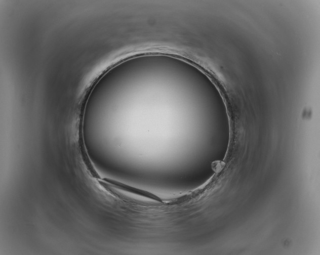 X0000097621504200802291313
