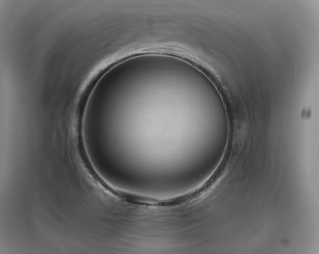 X0000097621506200802291313