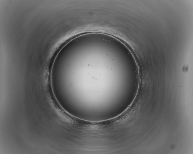 X0000097621507200802291313