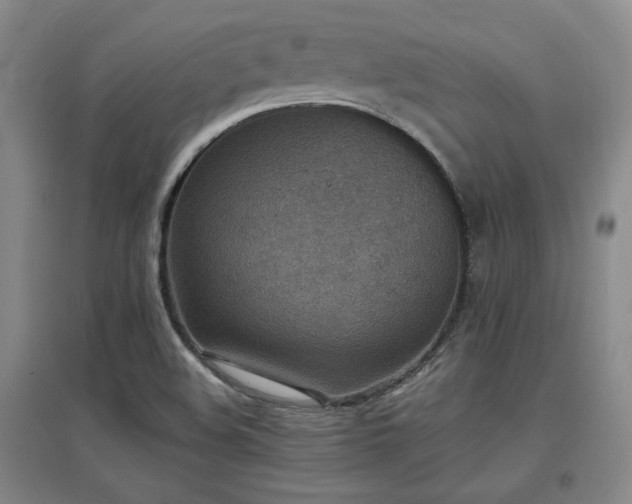 X0000097621508200802291313