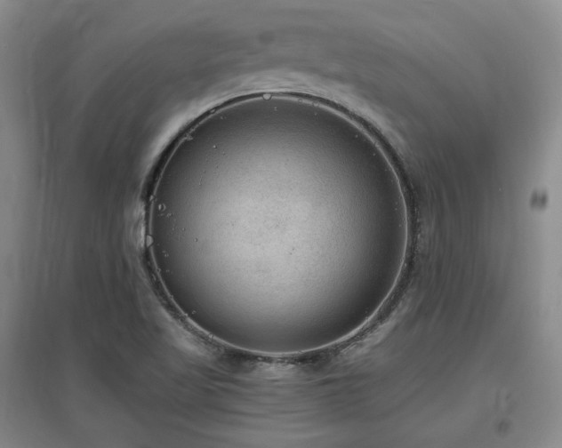X0000097621509200802291313