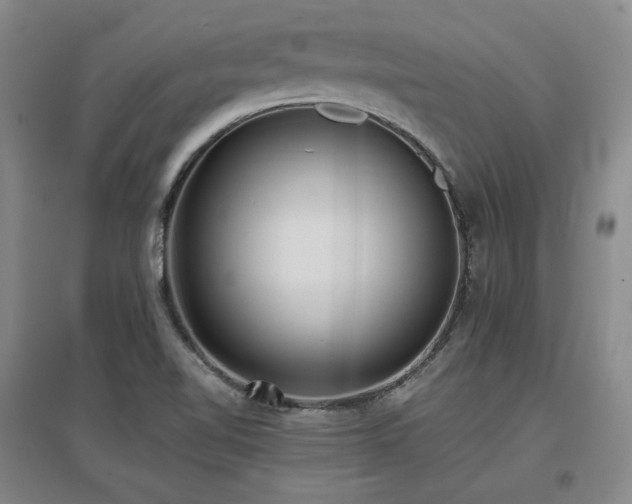 X0000097621510200802291313