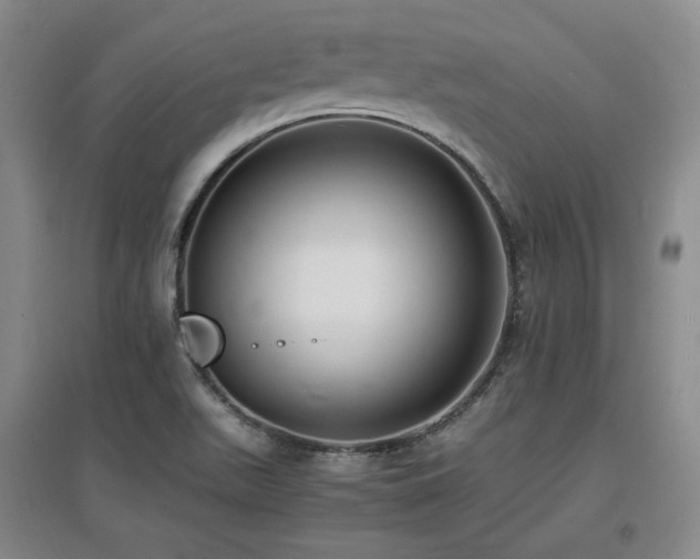 X0000097621511200802291313