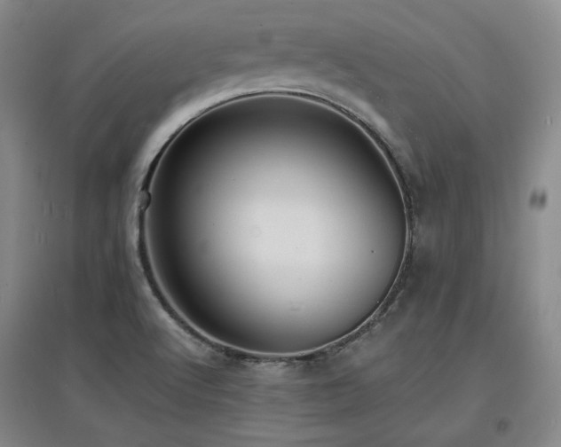 X0000097621512200802291313