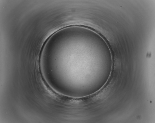 X0000097621513200802291313
