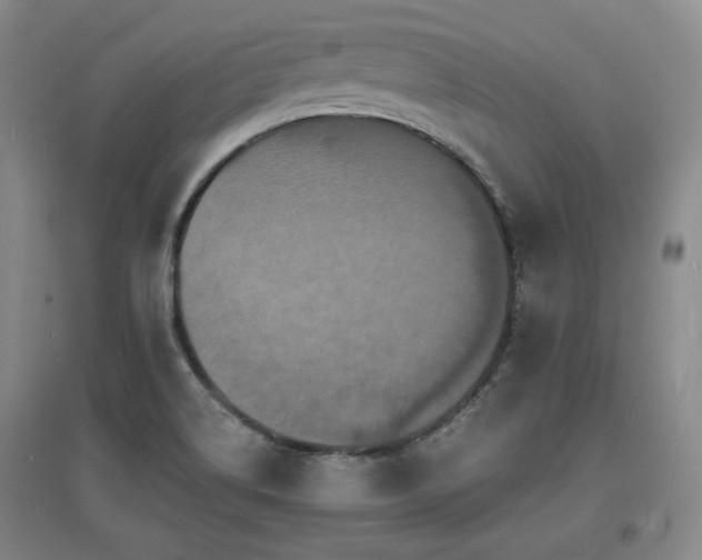 X0000097621514200802291313