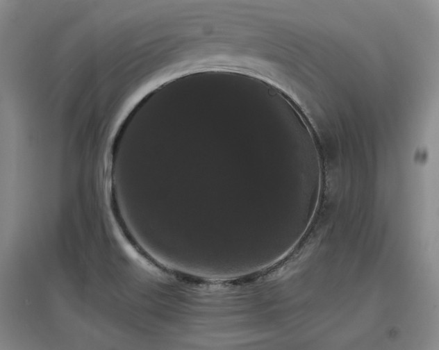 X0000097621515200802291313