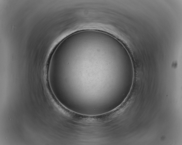 X0000097621517200802291313