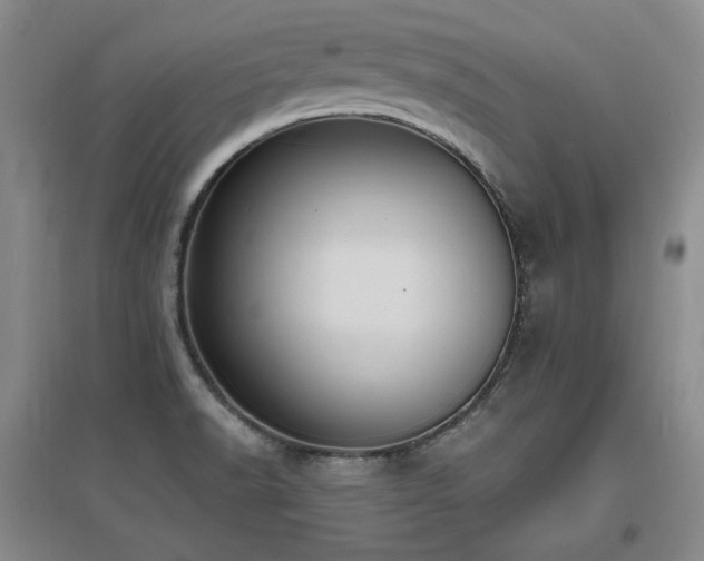 X0000097621518200802291313