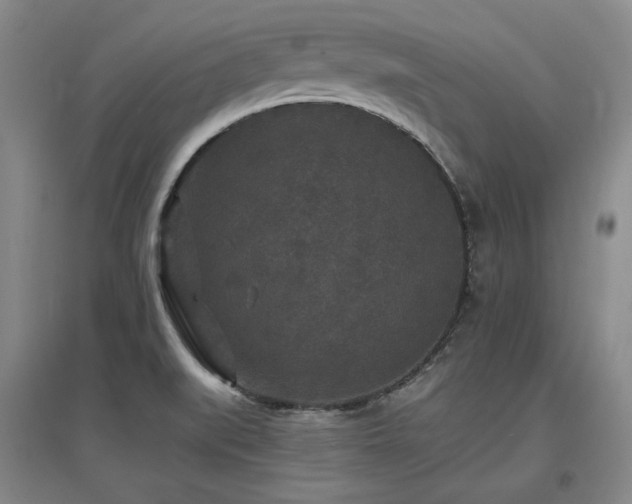 X0000097621519200802291313