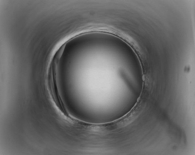 X0000097621520200802291313