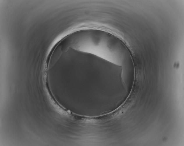 X0000097621522200802291313