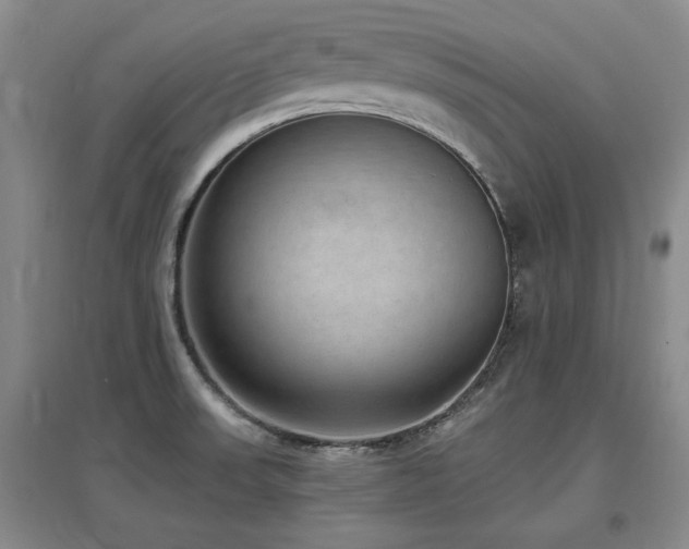 X0000097621523200802291313