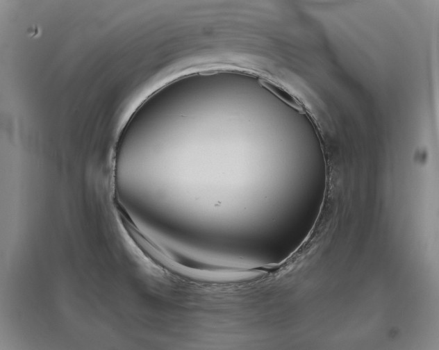 X0000097621524200802291313