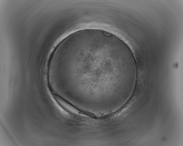 X0000097621525200802291313