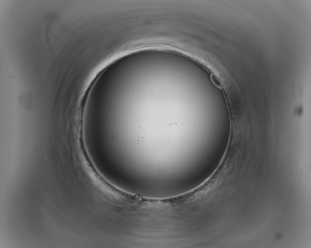 X0000097621526200802291313