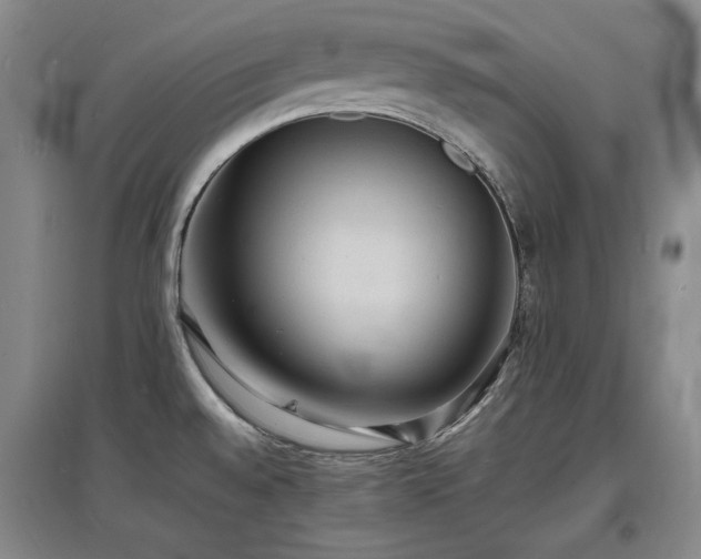 X0000097621528200802291313