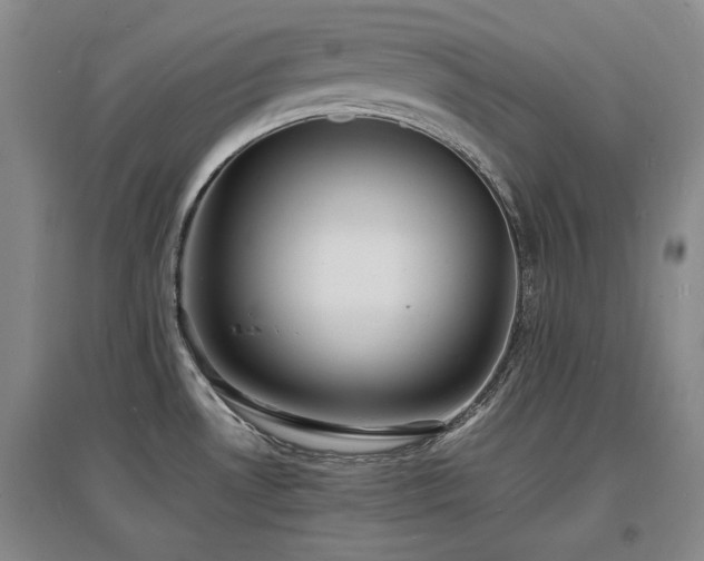 X0000097621530200802291313