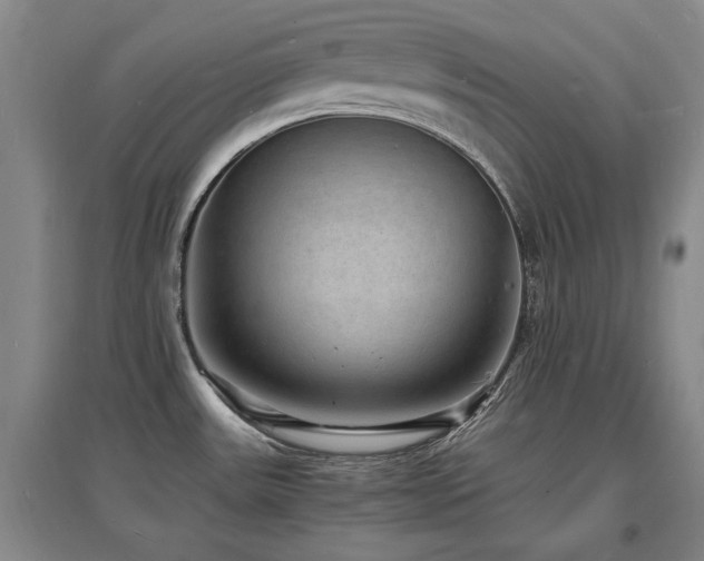 X0000097621531200802291313