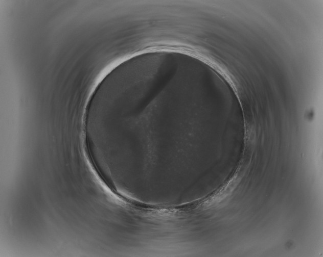 X0000097621533200802291313