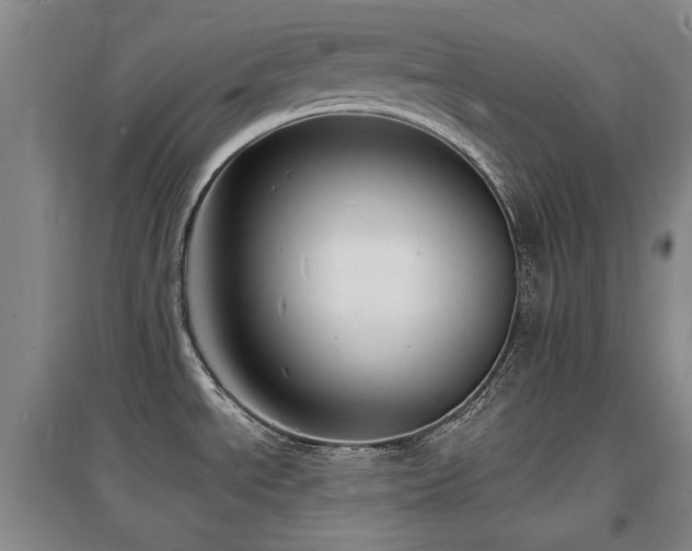 X0000097621534200802291313