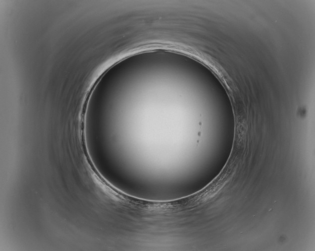 X0000097621535200802291313