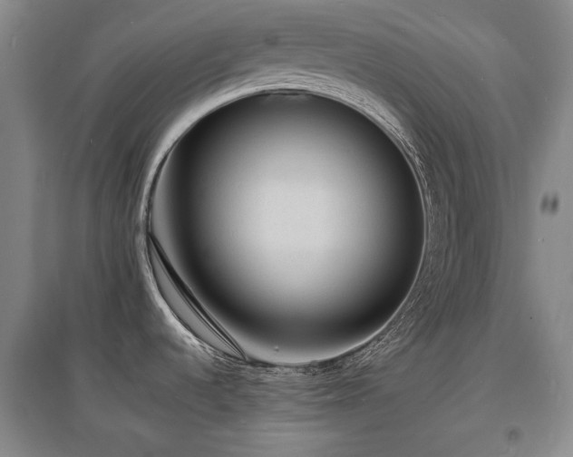 X0000097621536200802291314