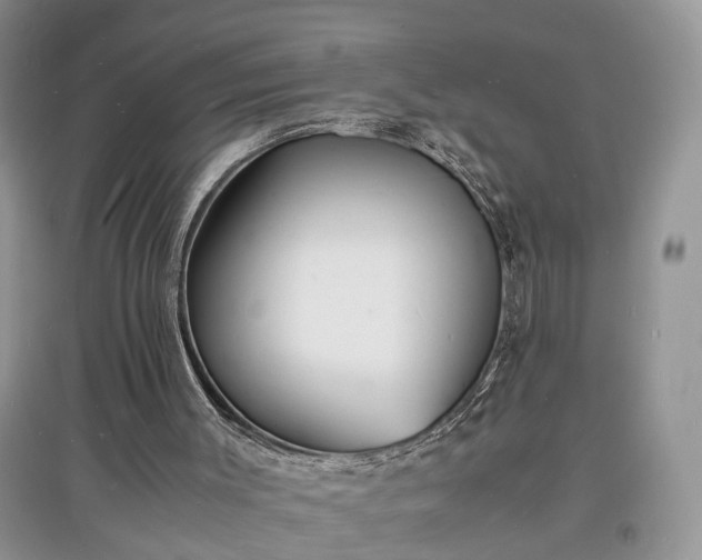 X0000097620003200803071520