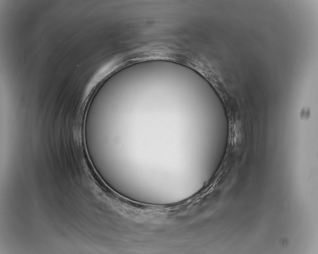 X0000097620004200803071520