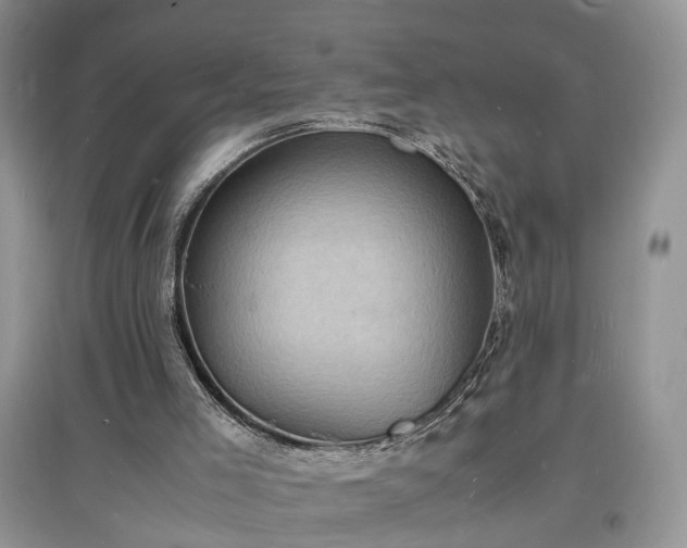 X0000097620005200803071520