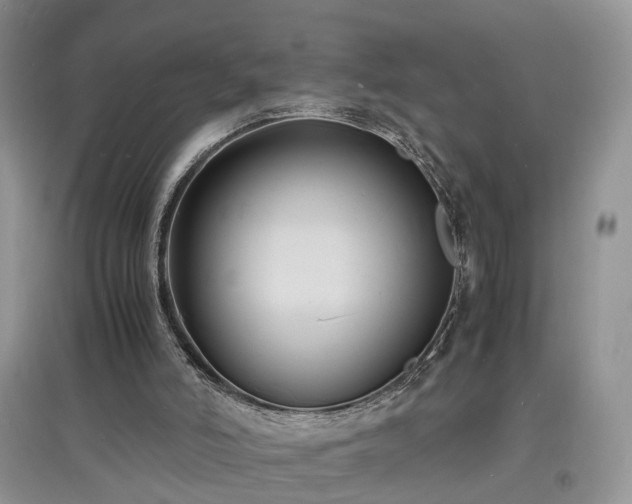 X0000097620006200803071520