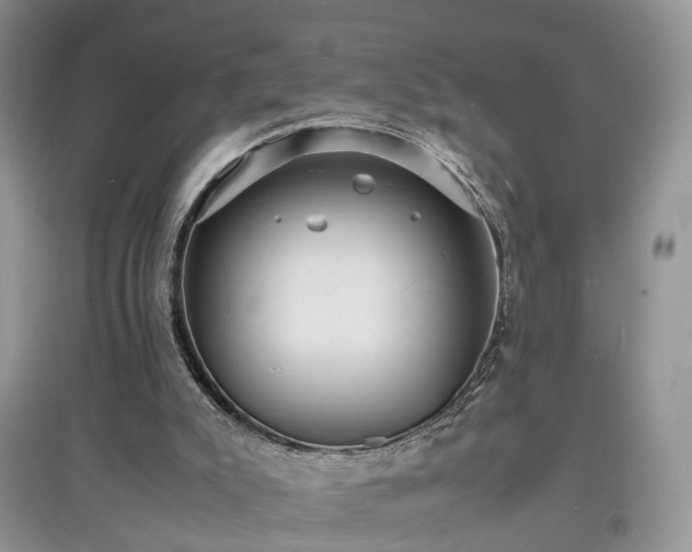 X0000097620007200803071520