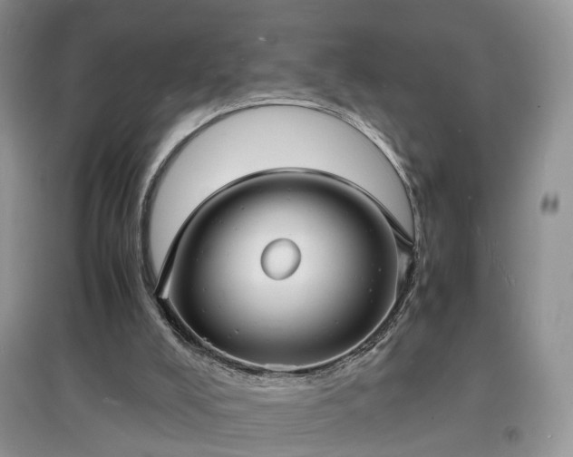 X0000097620008200803071520