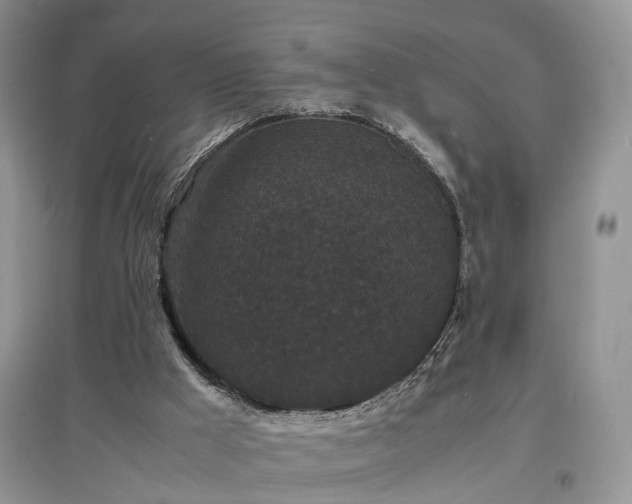 X0000097620009200803071520