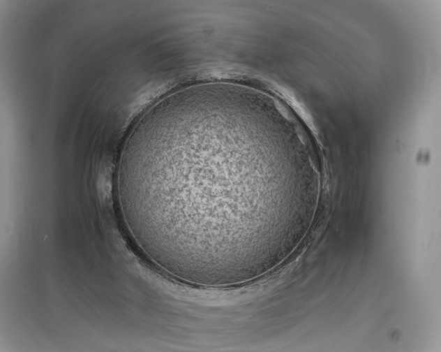 X0000097620010200803071520