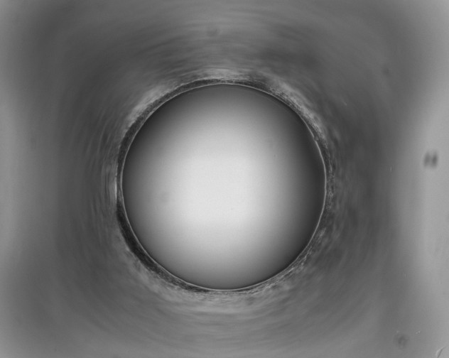 X0000097620011200803071520