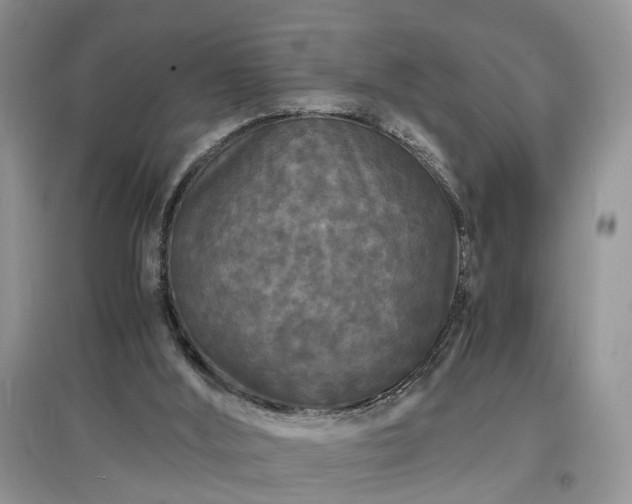 X0000097620012200803071520