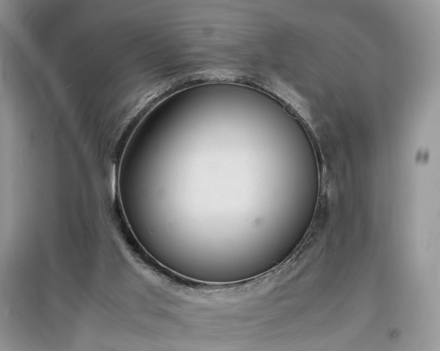 X0000097620013200803071520