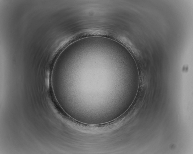 X0000097620014200803071520