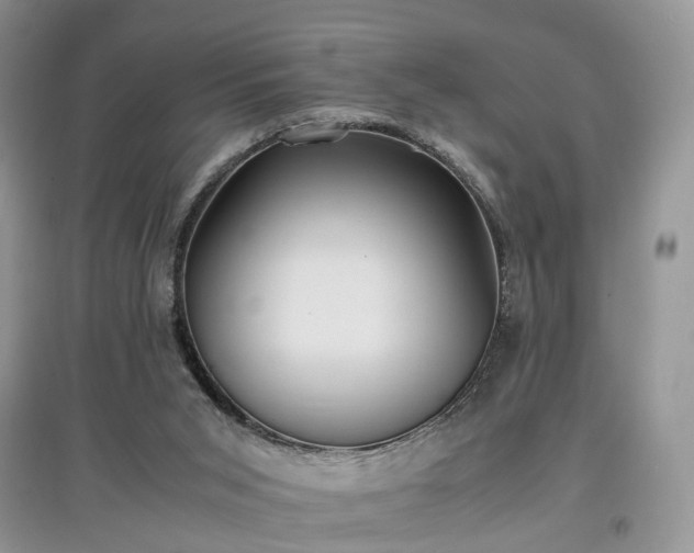 X0000097620015200803071520