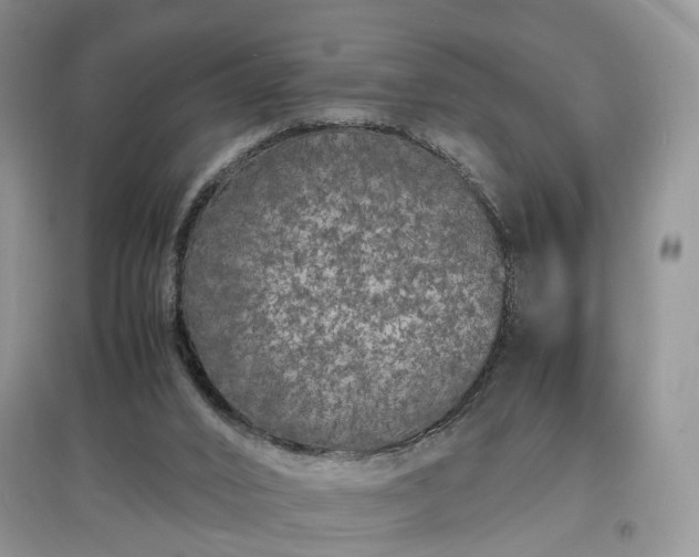 X0000097620016200803071520