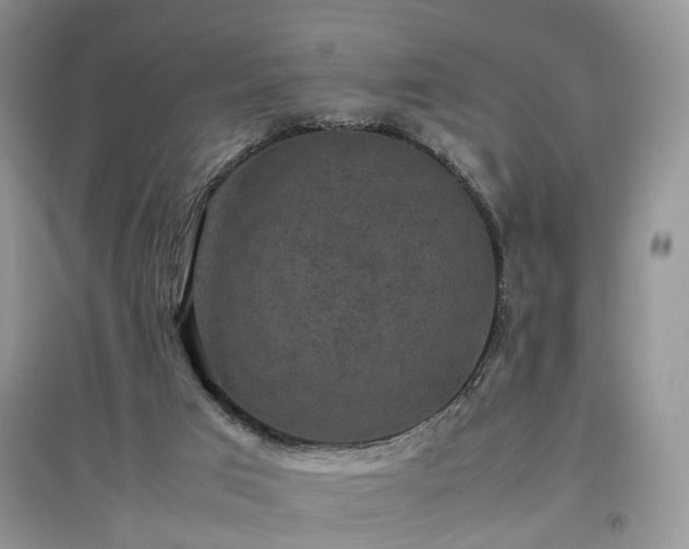 X0000097620017200803071520